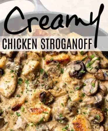 Delicious creamy Chicken Stroganoff served with pasta