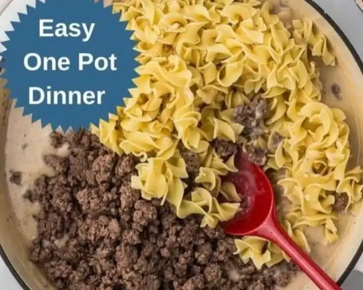 A creamy and savory ground beef stroganoff served over noodles