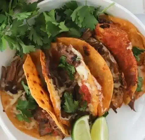 Delicious slow cooker birria tacos served with salsa and corn tortillas